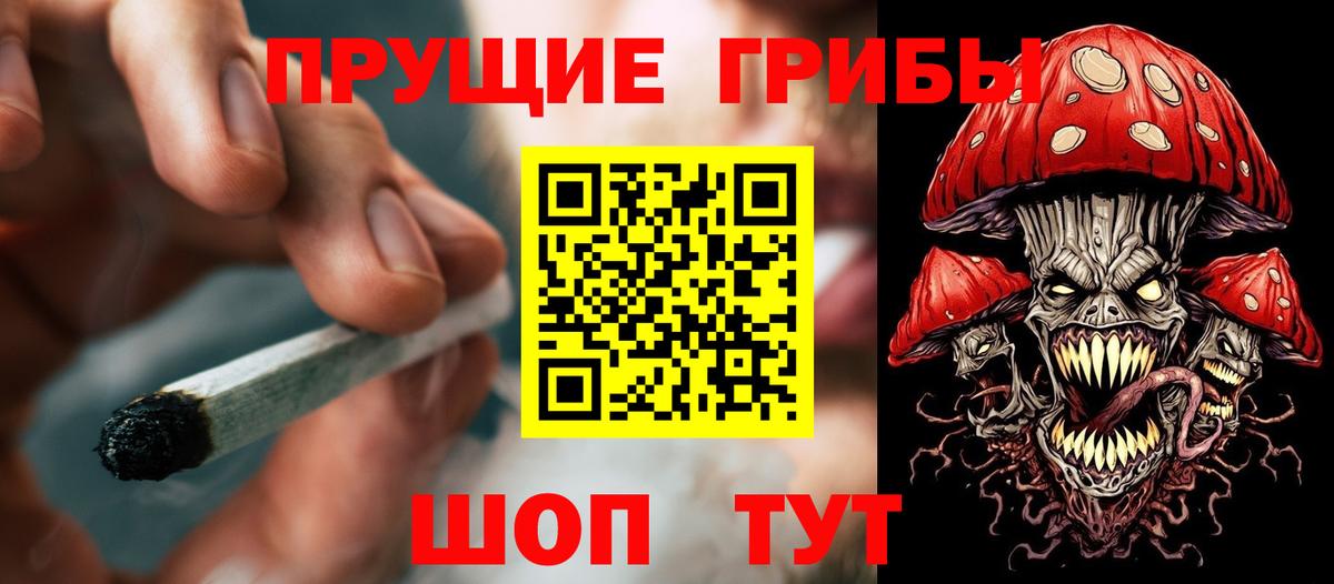 Псилоцибиновые грибы Magic Shrooms  Вход с VPN  Кимовск  Псилоцибиновые грибы Cubensis 